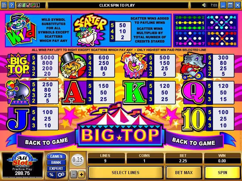 Info and Rules - Big Top Microgaming Slots Game