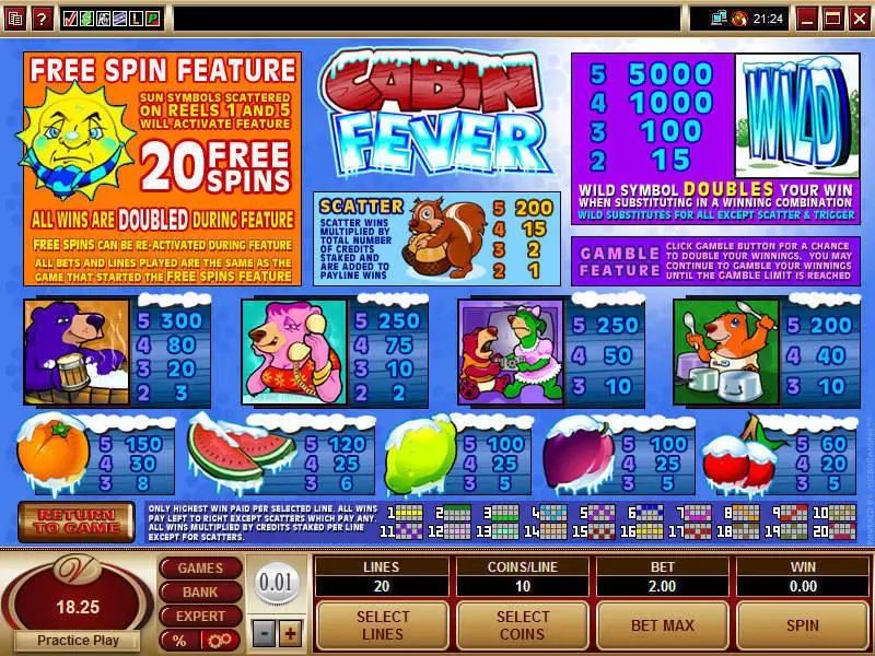 Info and Rules - Cabin Fever Microgaming Slots Game