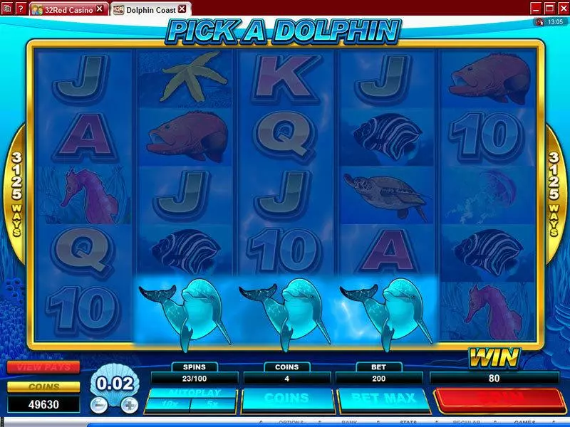 Bonus 1 - Dolphin Coast Microgaming Slots Game