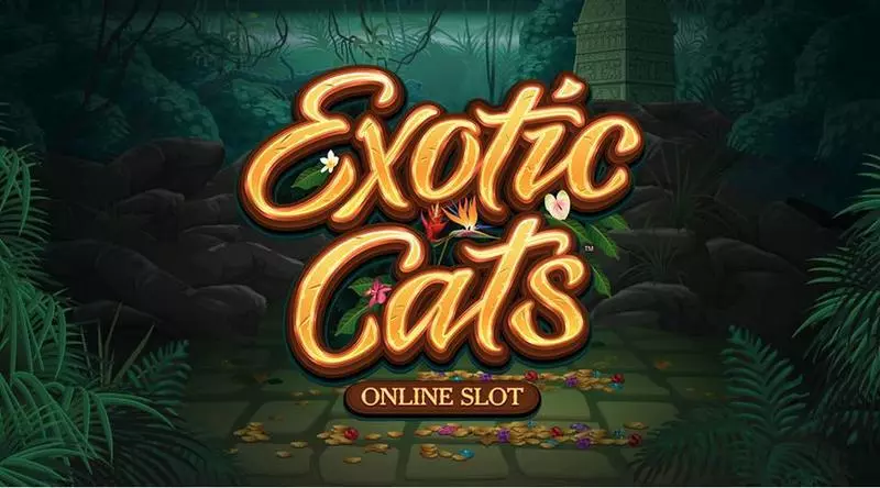 Info and Rules - Exotic Cats Microgaming Slots Game