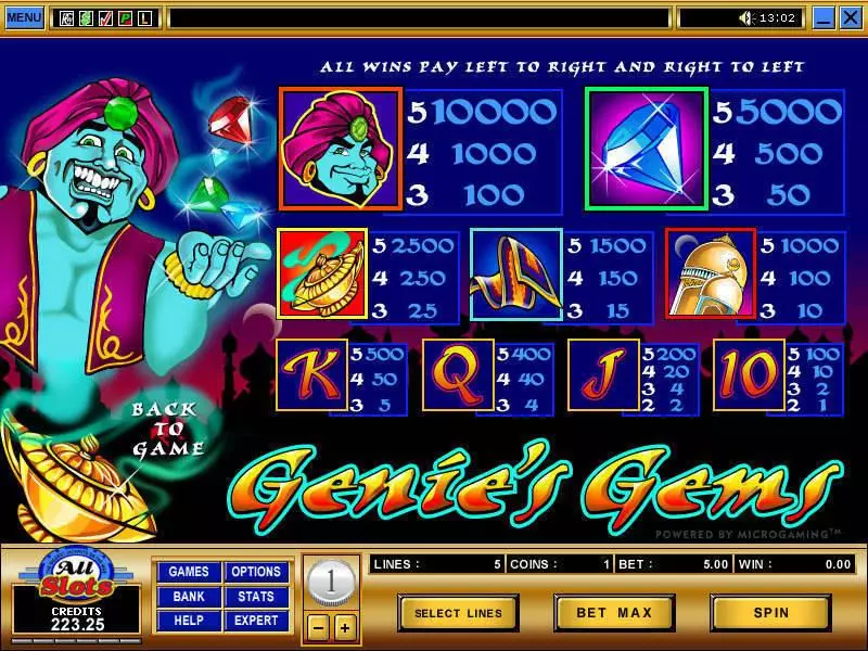 Info and Rules - Genie's Gems Microgaming Slots Game