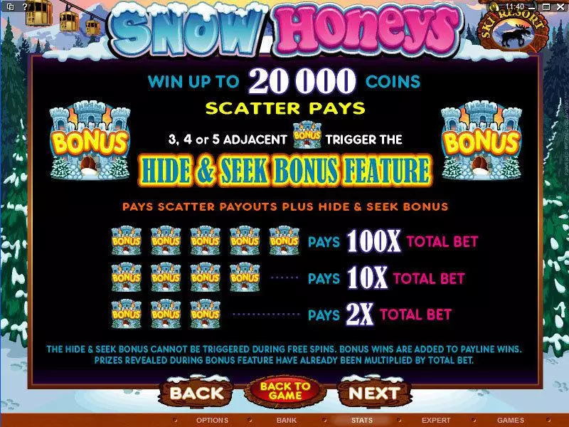 Info and Rules - Snow Honeys Microgaming Slots Game