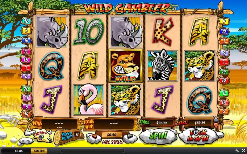 Main Screen Reels - Wild Gambler Ash Gaming Slots Game