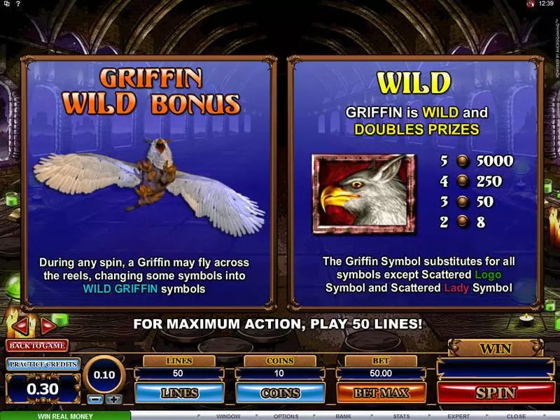 Bonus 1 - Great Griffin Microgaming Slots Game
