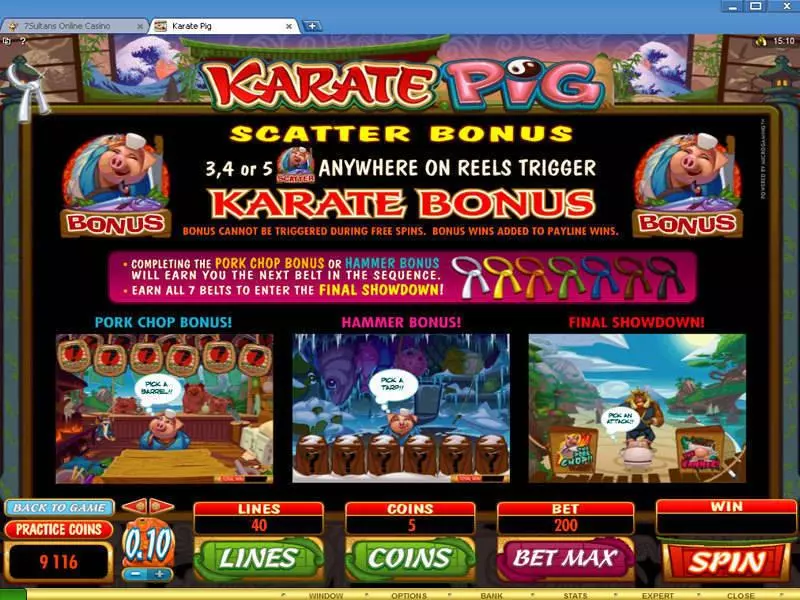 Bonus 1 - Karate Pig Microgaming Slots Game