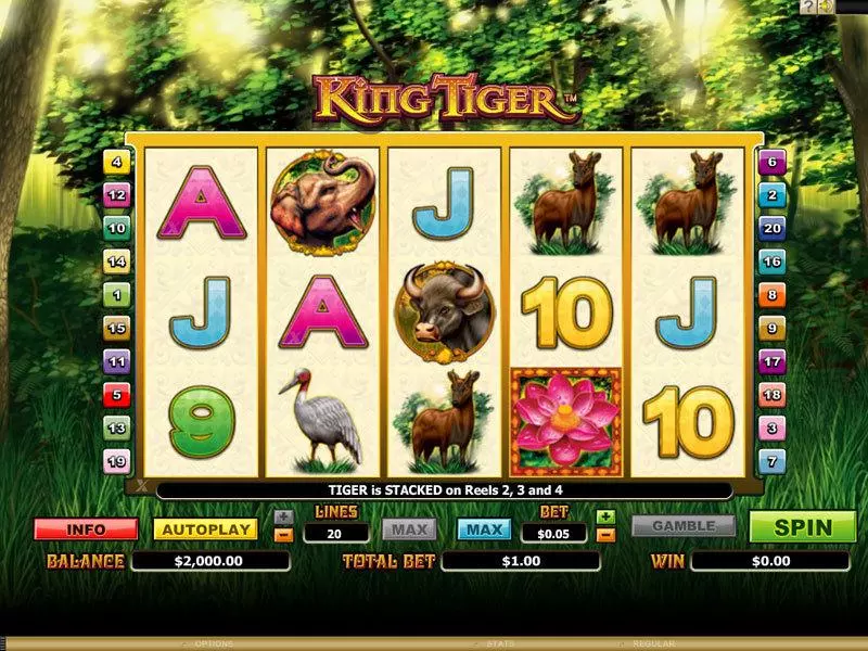 Main Screen Reels - King Tiger Microgaming Slots Game