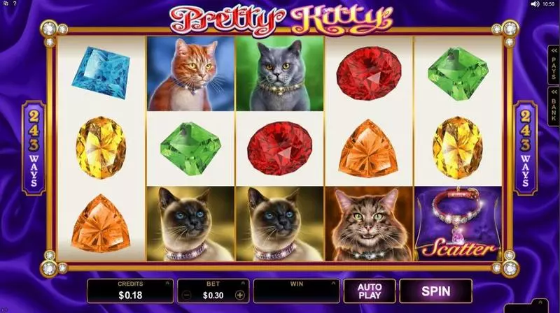 Introduction Screen - Pretty Kitty Microgaming Slots Game