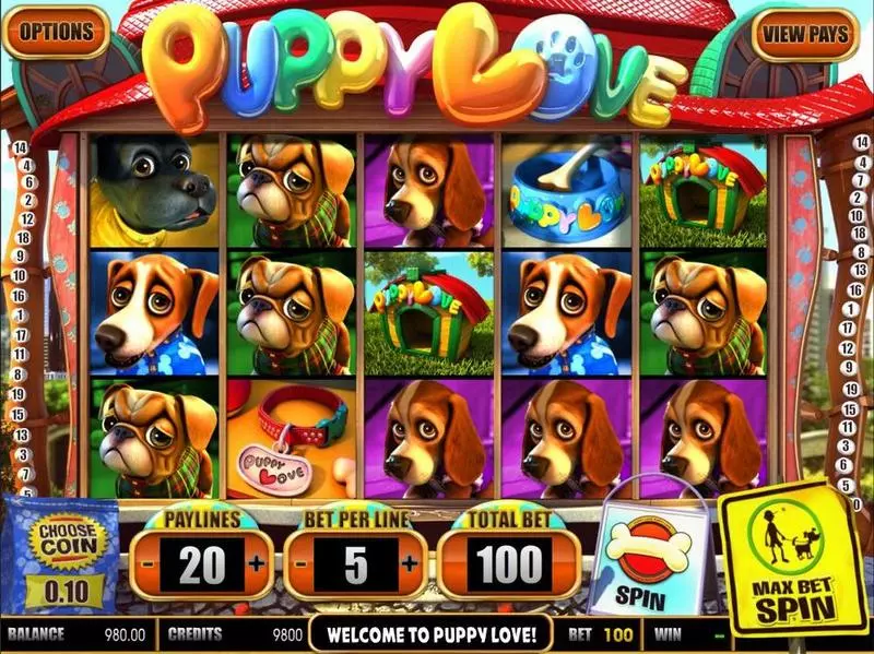 Introduction Screen - Puppy Love BetSoft Slots Game