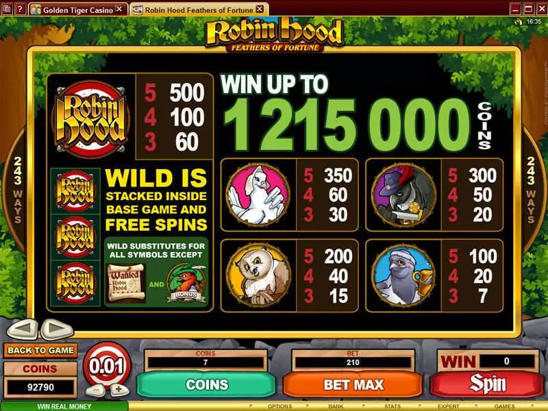 Info and Rules - Robin Hood Feathers of Fortune Microgaming Slots Game