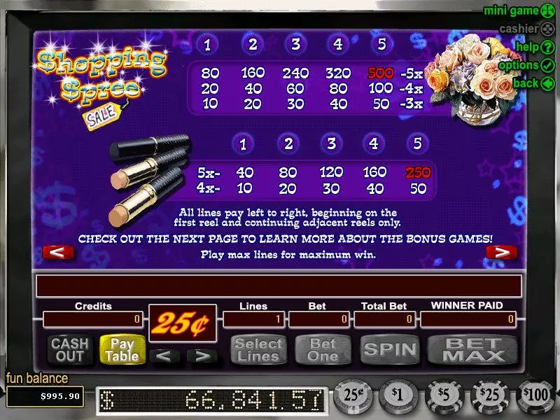 Info and Rules - Shopping Spree RTG Slots Game