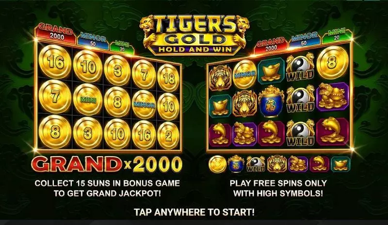 Info and Rules - Tiger's Gold: Hold and Win Booongo Slots Game