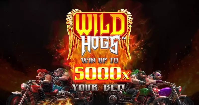 Introduction Screen - Wild Hogs StakeLogic Slots Game